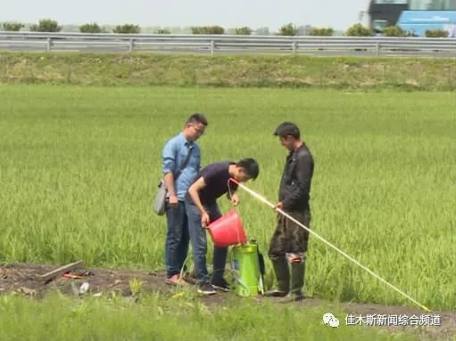 西吉新鲜资讯